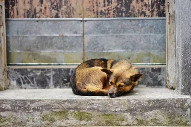 黄山最该去的无敌美古村落，游人寥寥，让宏村西递一边儿呆着去吧