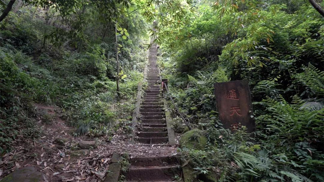 丞相湾毛震寿为丹棱县令时,曾手书的"竹林烟月"四个大字,镌刻在寺后