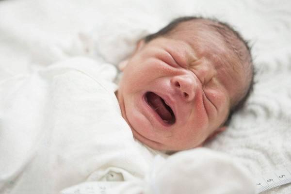 吃什么东西可以生龙凤胎 c555fcaccdd841c8a7ee323ac6a6af7e.jpeg