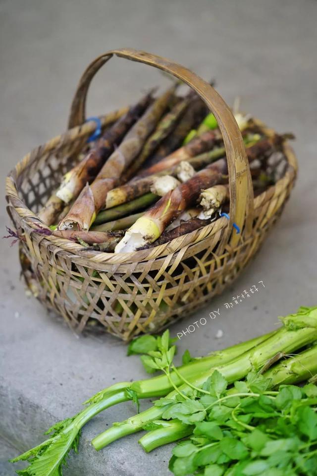 黄山最该去的无敌美古村落，游人寥寥，让宏村西递一边儿呆着去吧