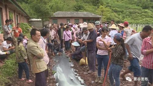 凤山镇有多少人口_北流隆盛镇有多少人口