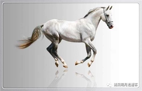 “凤雏”庞统是被刘备的马害死的