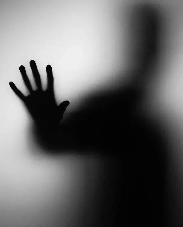 拍照怎么才能没有阴影 cd3fa2ee9a2e4af48d851b2103065811.jpeg