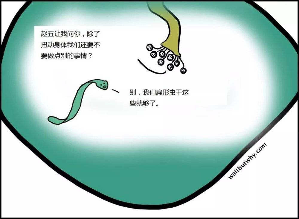 cf537bcb74044a18b6f532f8e8e9f95d.jpeg