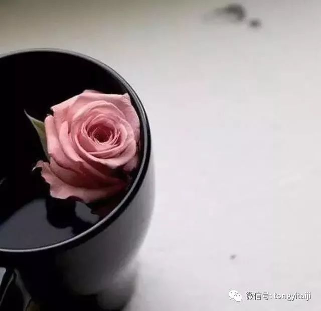 人到极致,是淡然 线上赌博导航网