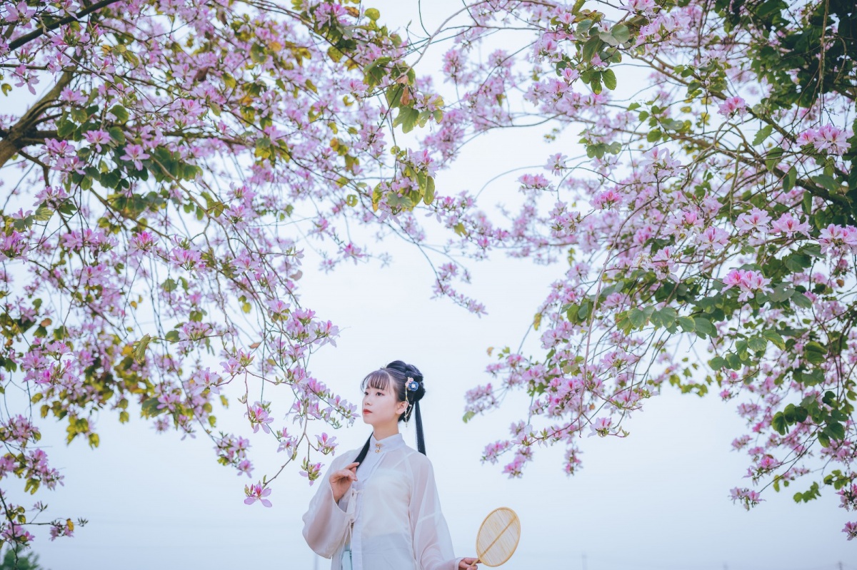 八位摄影师和一群汉服花仙子带你穿越花海欣赏古风之美