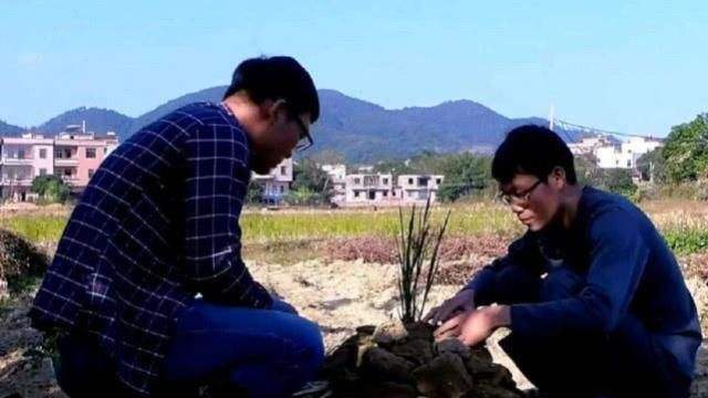 “亲戚反目,兄弟盼穷”,农村这一怪现象,是什么原因造成的呢 电子游艺777