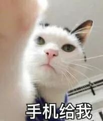 dbe5ebdb52df4d33a9d020ca860d3020.jpeg