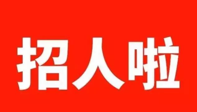 天九招聘_易车网天津经销商(2)