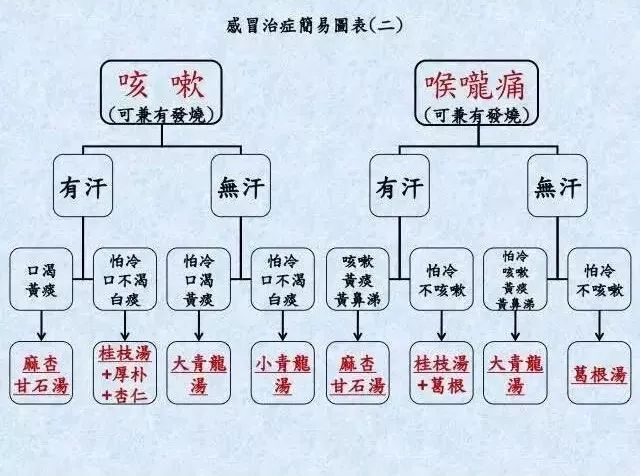 【倪海厦】感冒八大经方_葛根汤