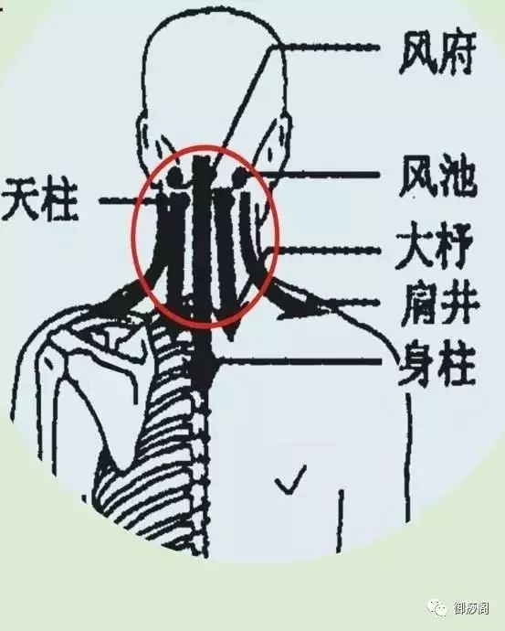 正骨的时候骨头咔咔响是什么原理_幸福是什么图片(2)