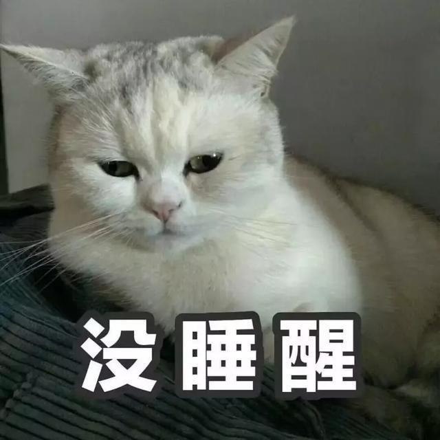 亲爱的中国考生家长, 我不认识你, 但我了解你的每天是怎么度过的