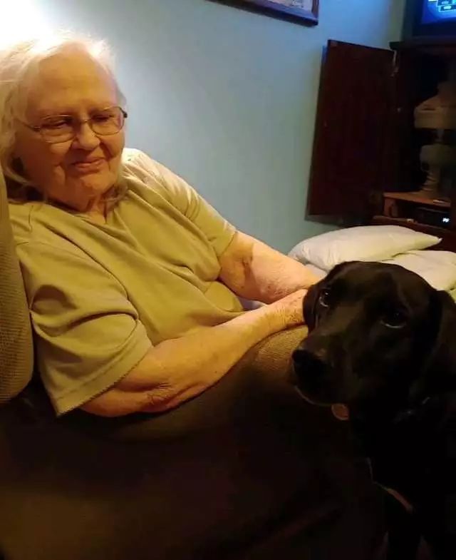 不顾奶奶反对带回家一只流浪狗，没想到它救了奶奶一命！