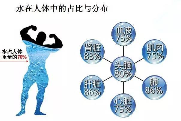 水是什么元素构成 f33c31c148384c0080e092984534100c.jpeg