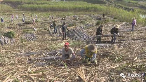 凤山镇有多少人口_北流隆盛镇有多少人口