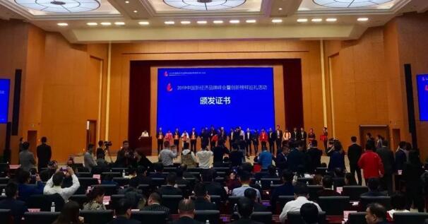 2019经济峰会_2019新经济战略峰会(3)