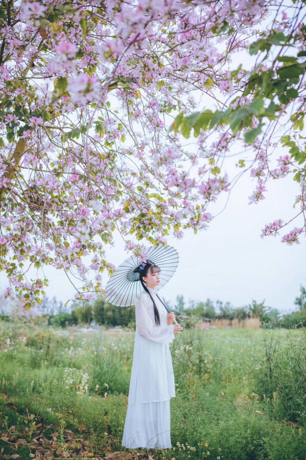 八位摄影师和一群汉服花仙子,带你穿越花海欣赏古风之