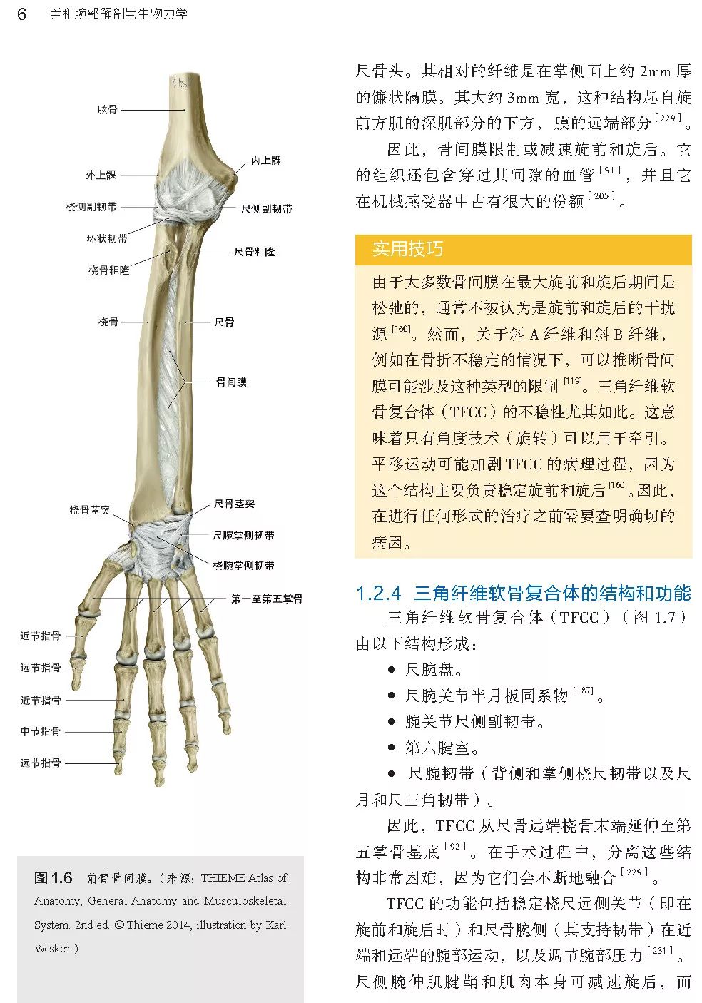 好书推荐|新书首发:手和腕部解剖与生物力学