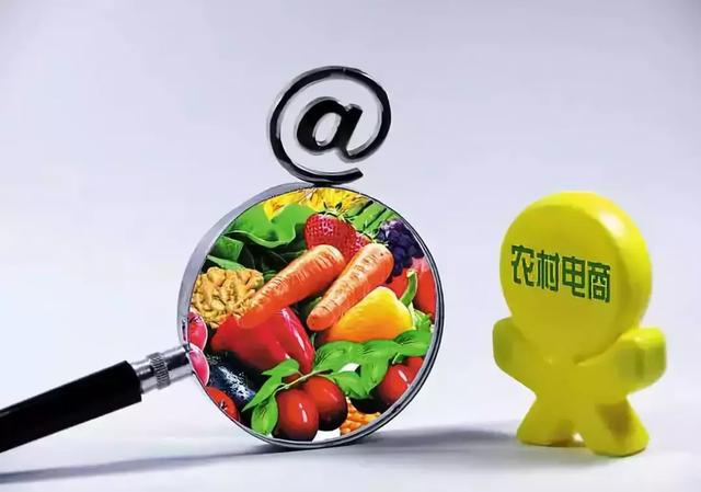 2019农村经济分析_2019中国新型农业经营主体发展分析报告 二