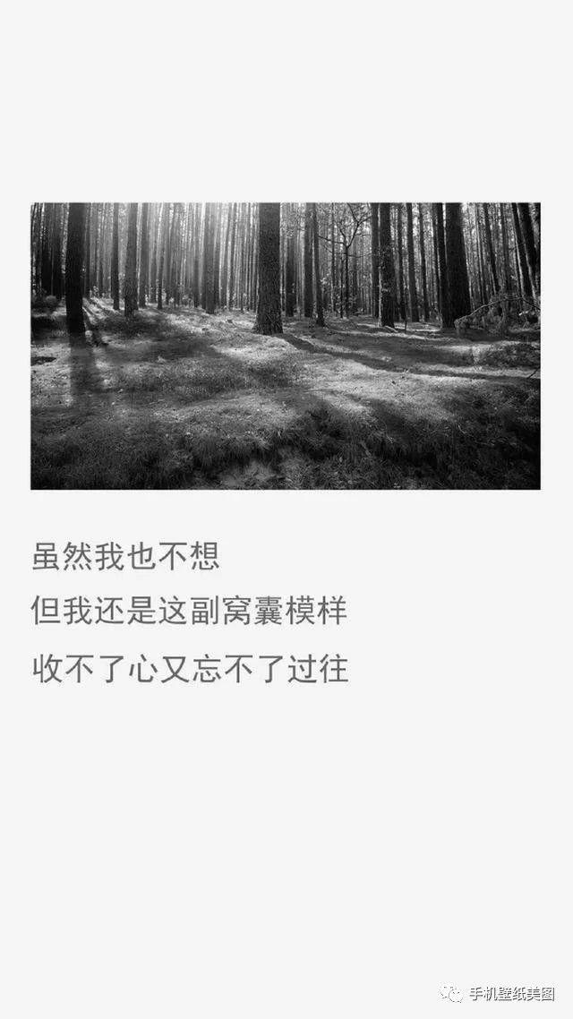 18:9超高清2k手机壁纸