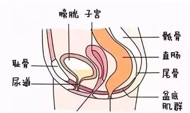 02868e8124c1475aa7c4c098db9e41af.jpeg