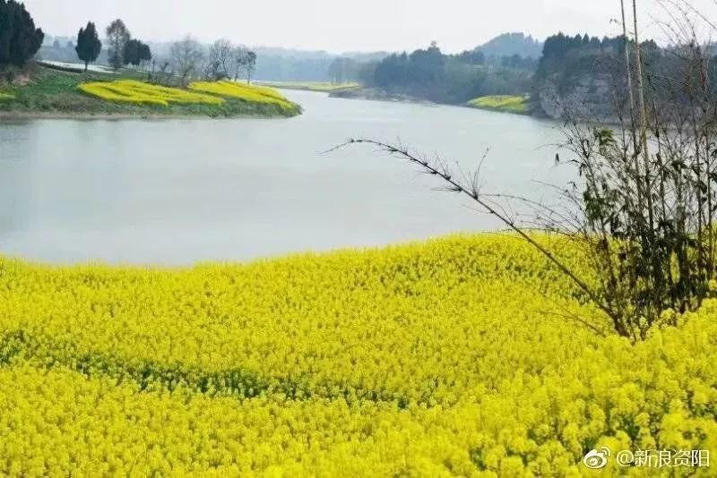 如何缓农村人口乡愁_农村乡愁图片(2)