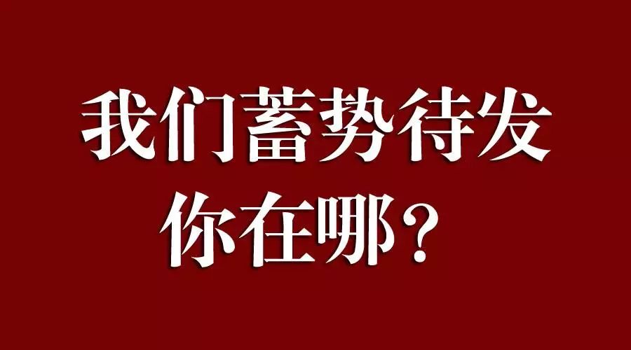 为了引起你的注意,我真是煞费苦心啊!