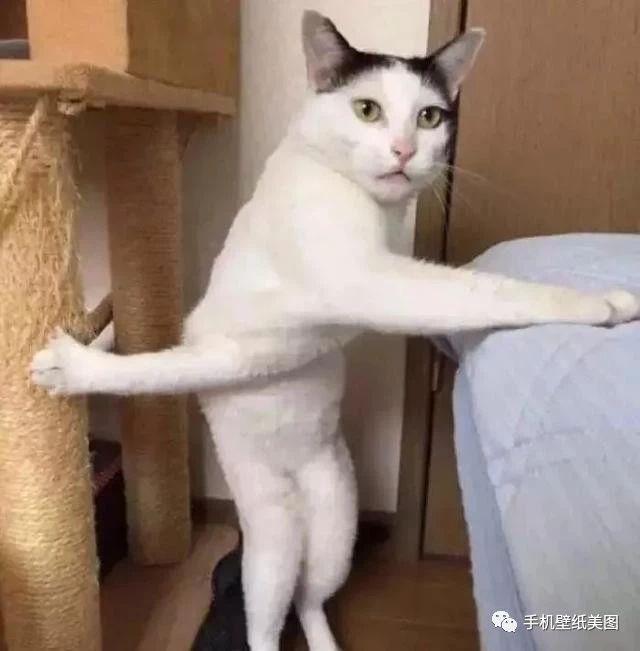 请查收,qq头像,女生头像,男生头像,欧美头像 ,可爱头像,个性头像