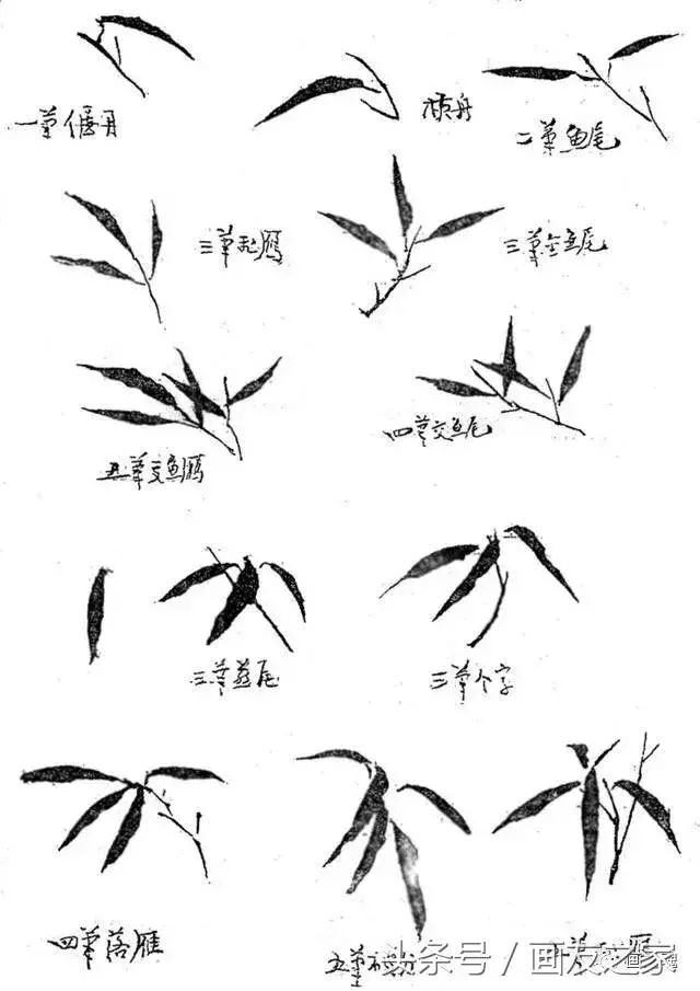 竹子的写意画法图文教程分分钟成为国画大师