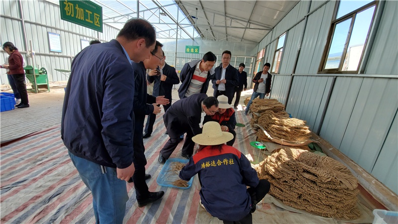 4月24日,调研组召开了产业扶贫暨规范大宗地产中药材产地初加工工作