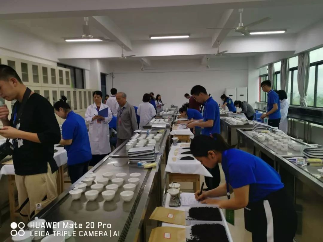 首届茶叶审评师资班