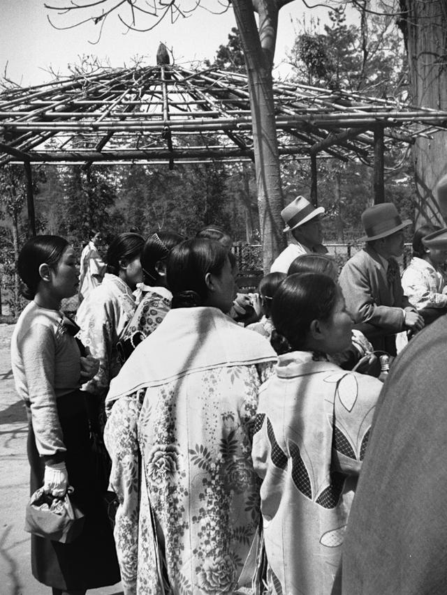 三十年代日本，侵华时期的本土生活