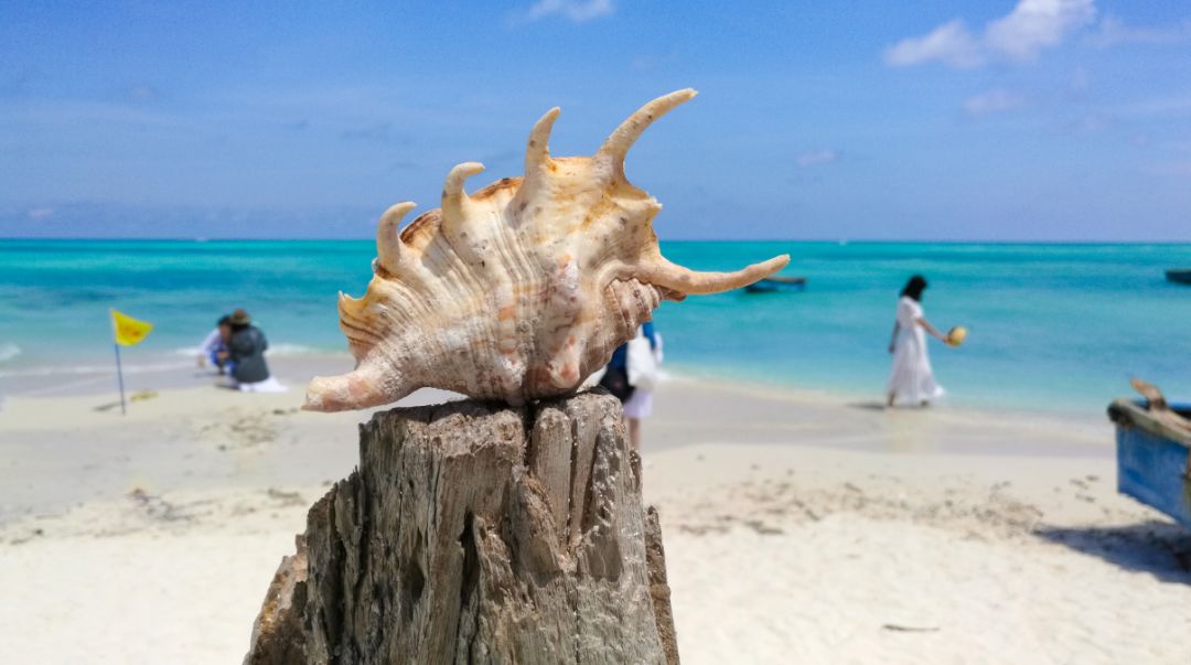浅屿看短剧，一场视觉与情感的微妙旅程，浅屿之微妙旅程，视觉与情感的短剧探索