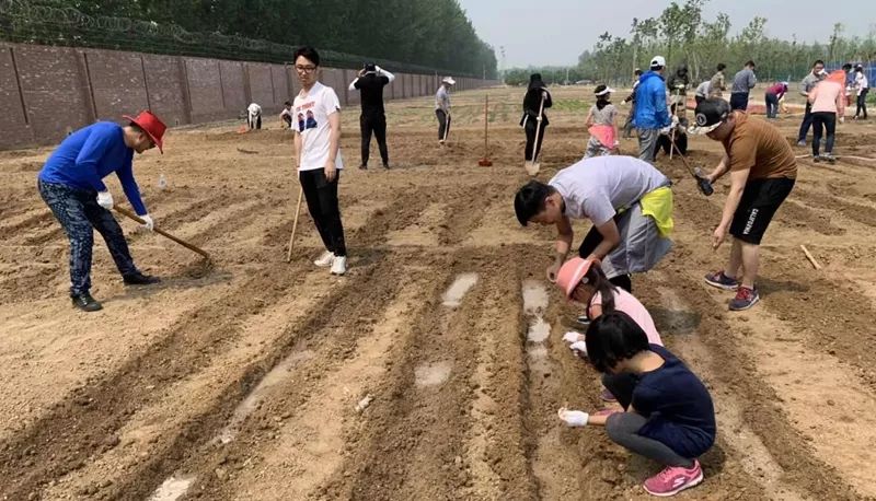 农场劳动人口_头雁领航程万里 村民致富有 帮手 武冈市创业女性周作枚(3)