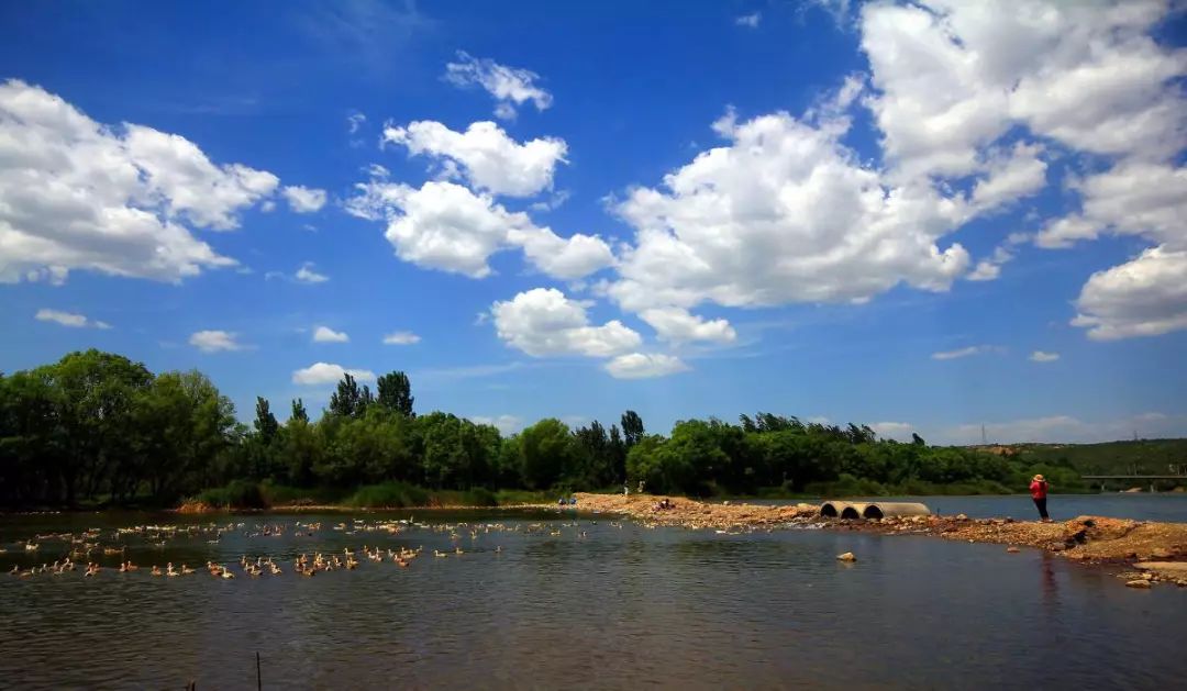 鹤壁淇河
