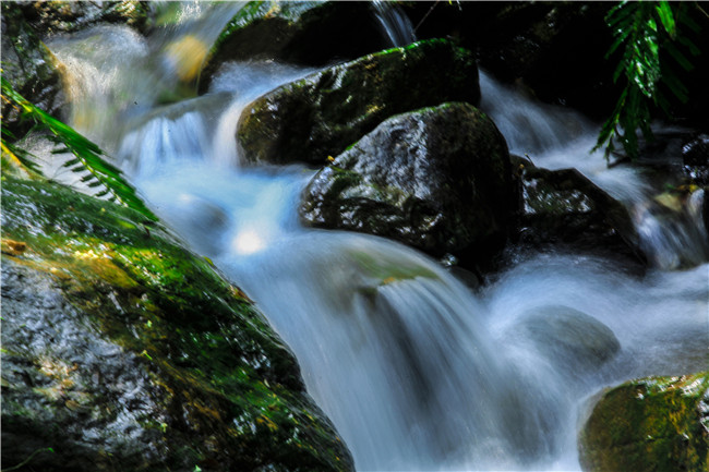 涓涓细流汇聚成海英语 3ce711407ac84696979209a6f7f03322.jpeg