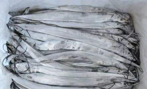 怎样挑选带鱼是新鲜的 400cee8ec0364c9095bc2dc85286f9b6.png