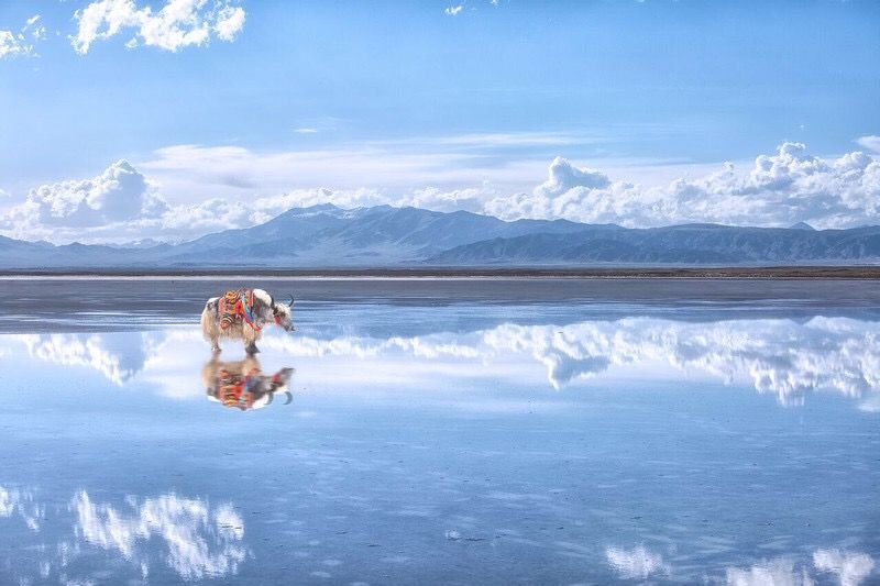 茶卡盐湖重新开放！全国版”天空之境“惊艳世界，这些地方风景不输国外！