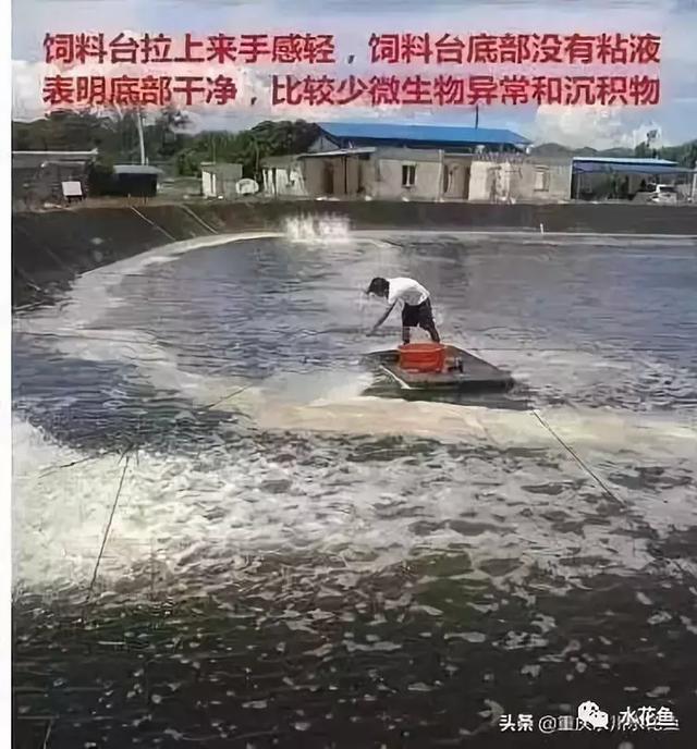46f7ed5bffdb4ec78d2ff721a113e995.jpeg