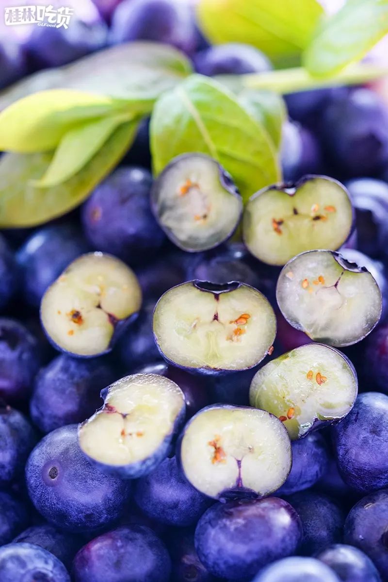 进园无限吃!这片100+亩的蓝莓园终于开放啦!距