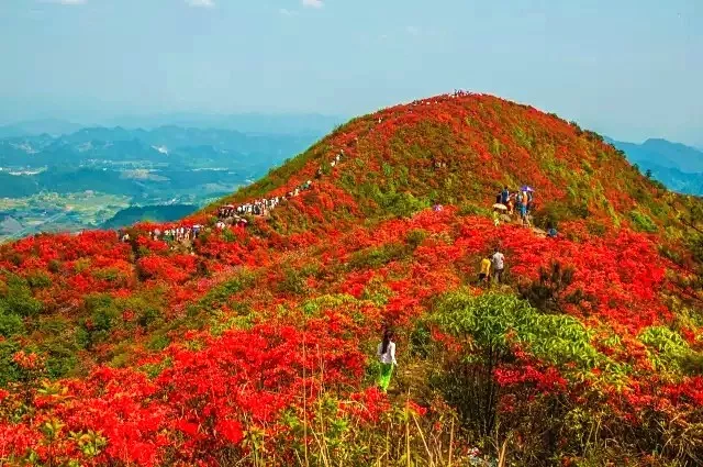 鲁山县尧人口_鲁山县库区乡尧龙湾