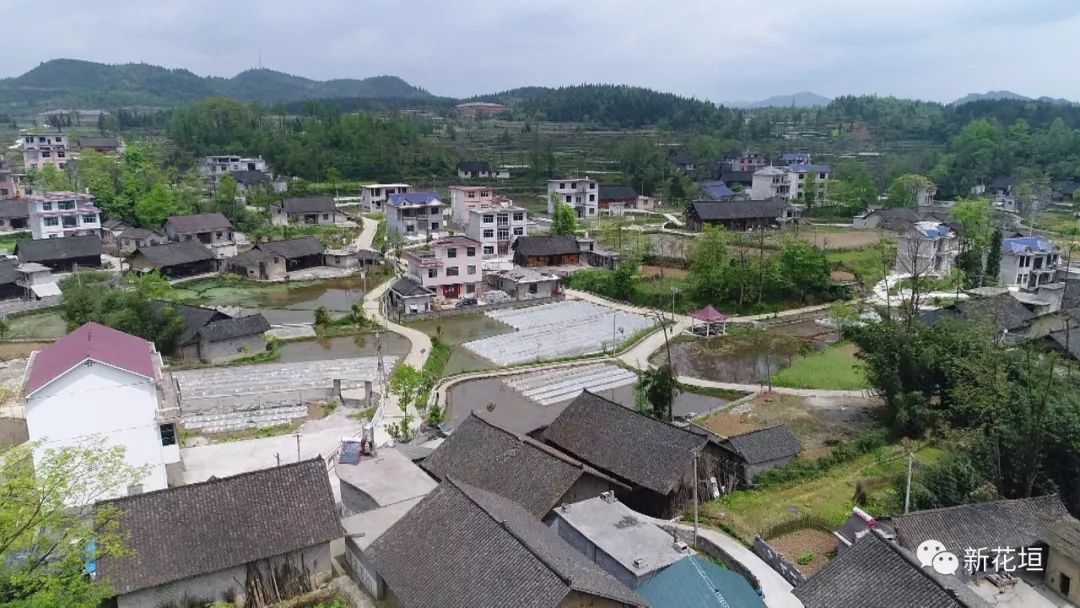 点赞花垣这个村每个月都要给村民发流动红旗积分可换奖品