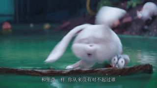 「爱宠大机密」你见过表情包却没看过的电影