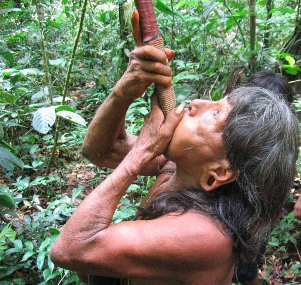 原创             南美有个哑巴部落，5万人一辈子不说一句话，喜欢生吃毒蛇