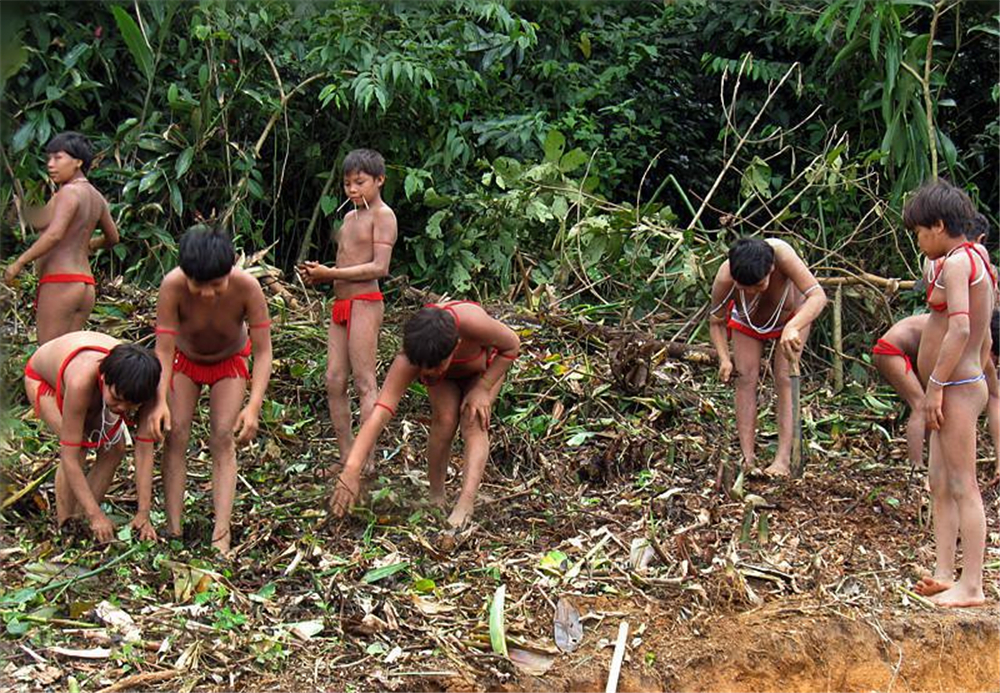 原创             南美有个哑巴部落5万人一辈子不说一句话喜欢生吃毒蛇