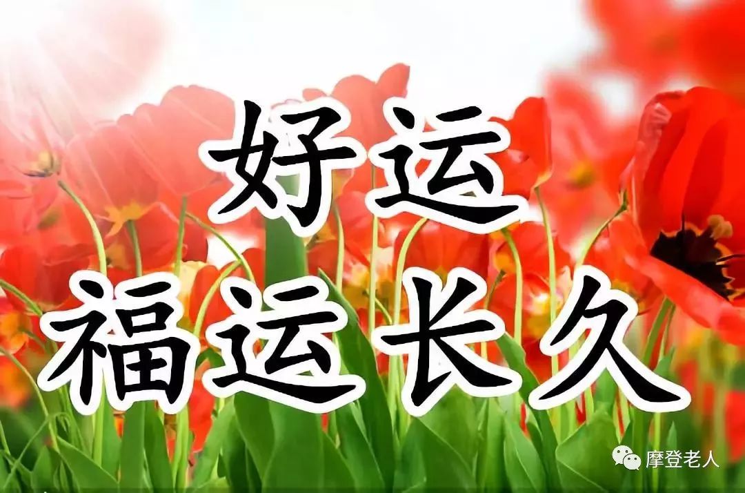 5月15日长久的祝福送给你愿你幸福长久心情欢乐永不休