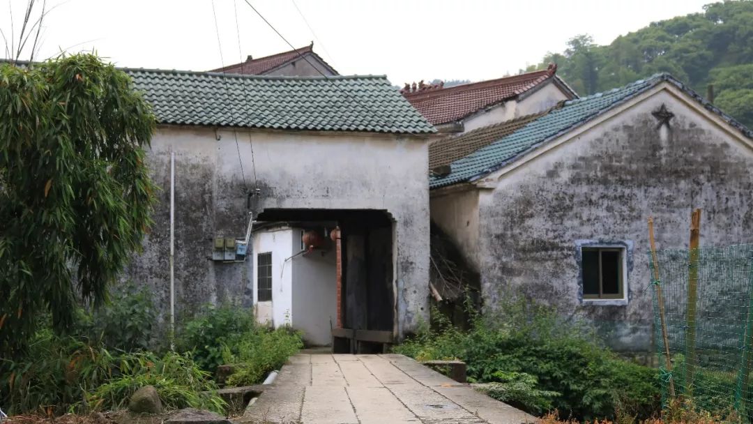 胡村，那一个岁月静好的山村 | 作者胡圣宇