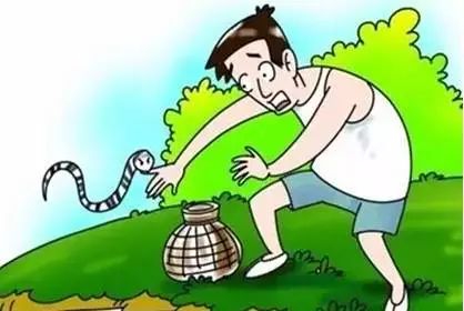 梦境中的奇遇，梦见上厕所被蛇咬，父亲捉蛇解忧
