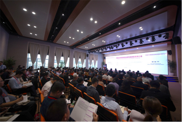 中国城市GDP与碳_中国城市gdp排名2020