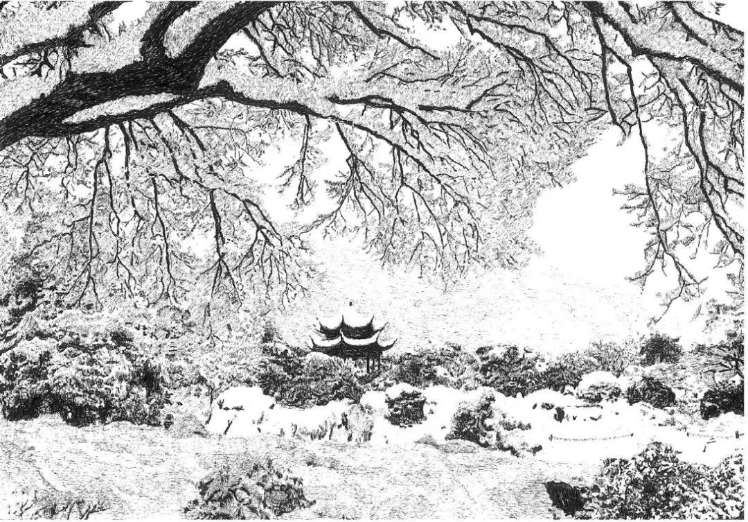 "西湖画匠"钢笔画雪西湖,韩美林也点赞